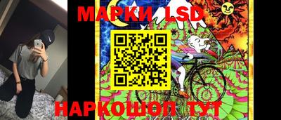 мдпв Будённовск