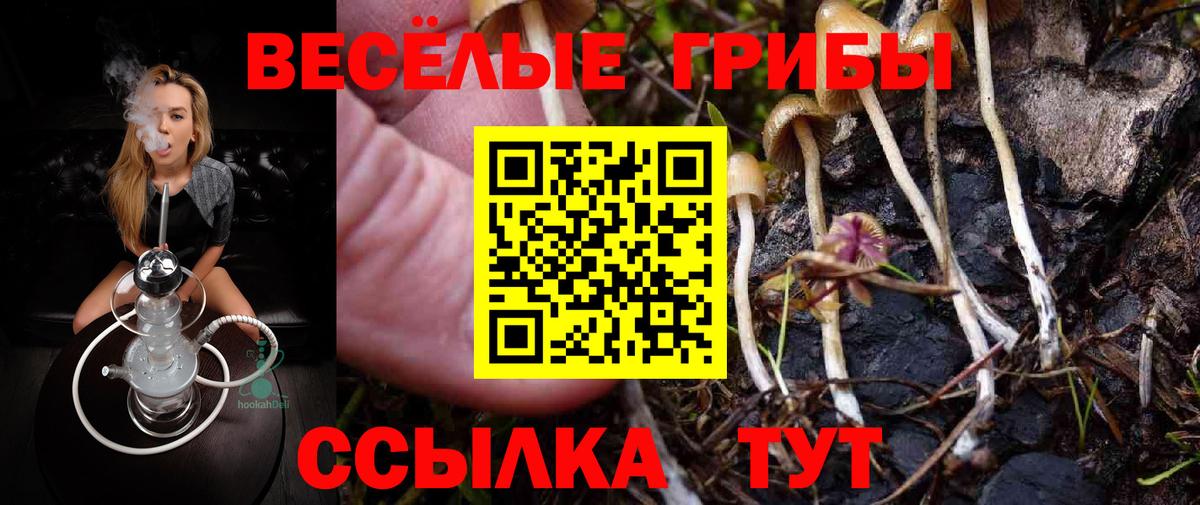 Кулебаки  Галлюциногенные грибы Psilocybine cubensis  Вход с VPN  Галлюциногенные грибы Psilocybe 